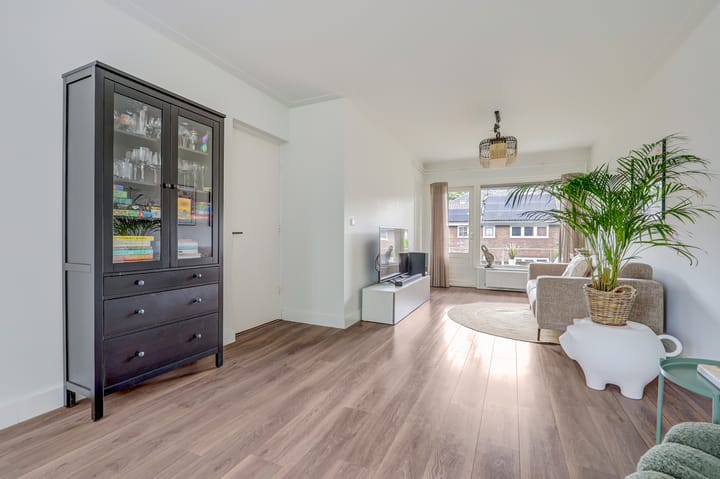 Foto 6 van Victor Hugoplantsoen 5-2