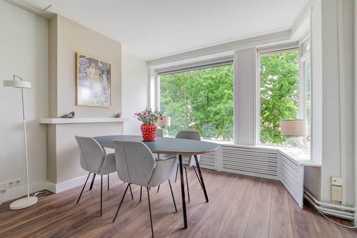 Foto 7 van Victor Hugoplantsoen 5-2