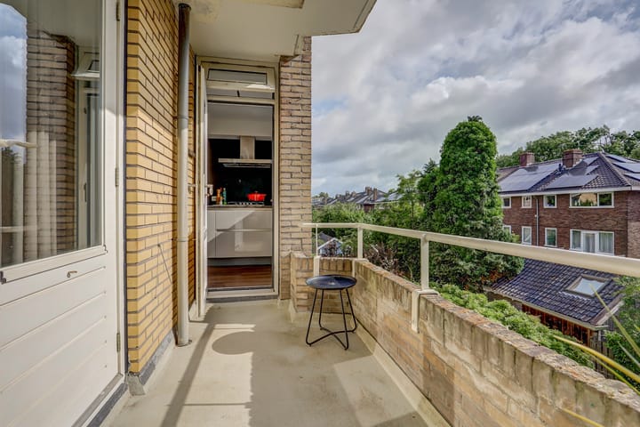 Foto 13 van Victor Hugoplantsoen 5-2