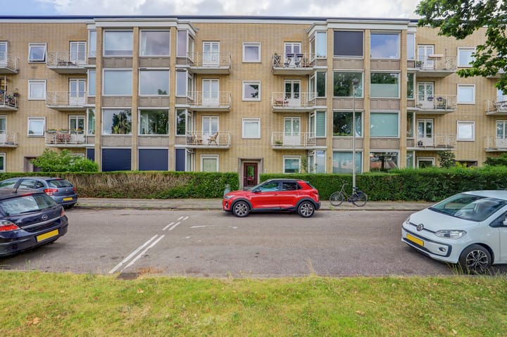 Foto 23 van Victor Hugoplantsoen 5-2