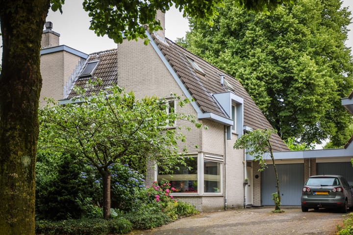 Foto 1 van Mr. Calspark 6