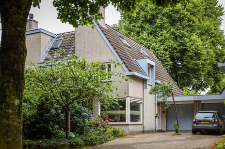 Mr. Calspark thumbnail