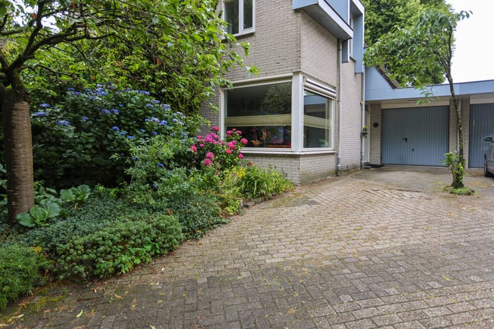 Foto 3 van Mr. Calspark 6