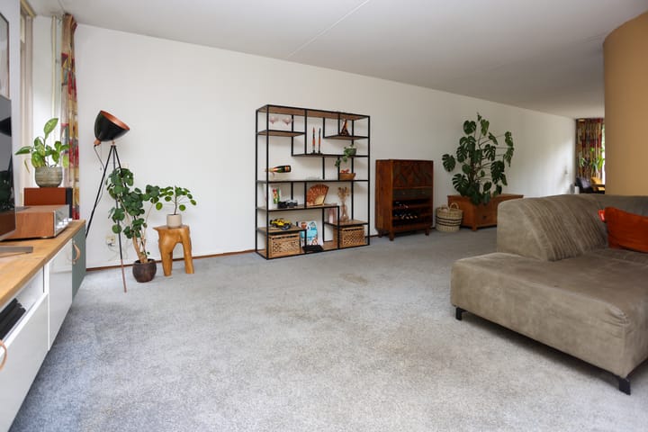 Foto 6 van Mr. Calspark 6