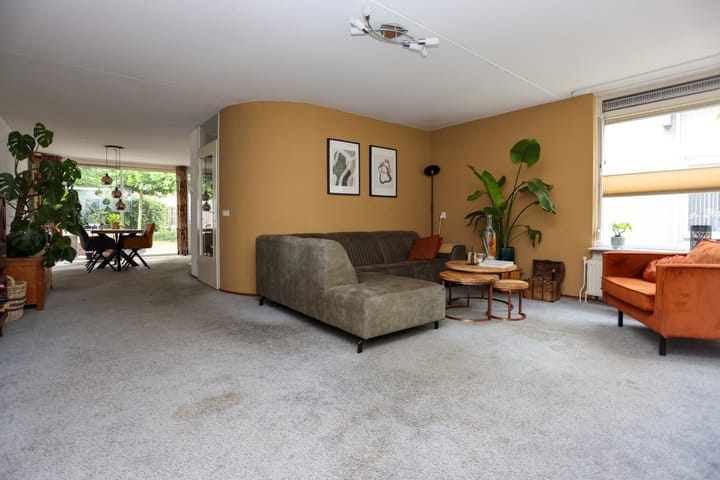 Foto 7 van Mr. Calspark 6