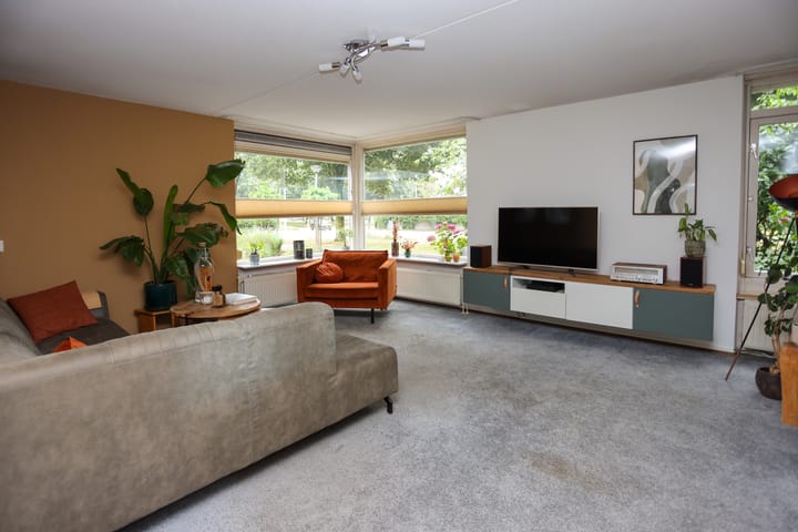 Foto 8 van Mr. Calspark 6