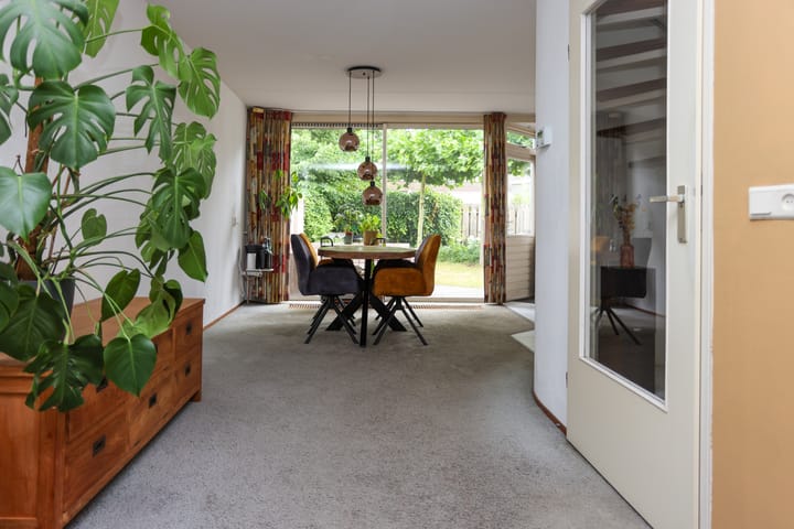 Foto 9 van Mr. Calspark 6