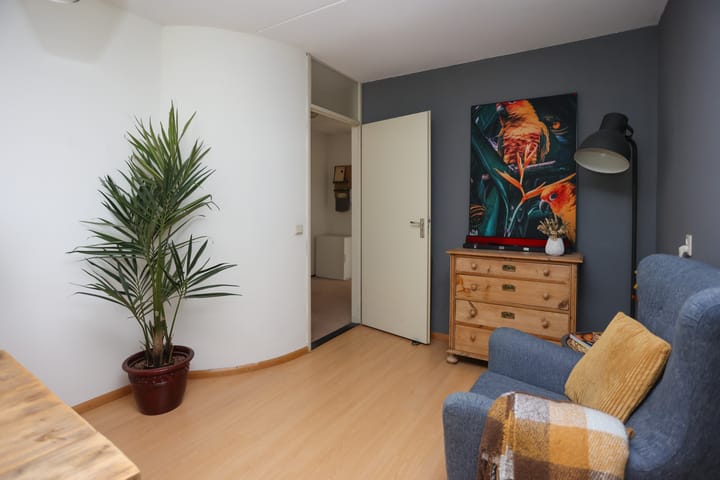 Foto 16 van Mr. Calspark 6