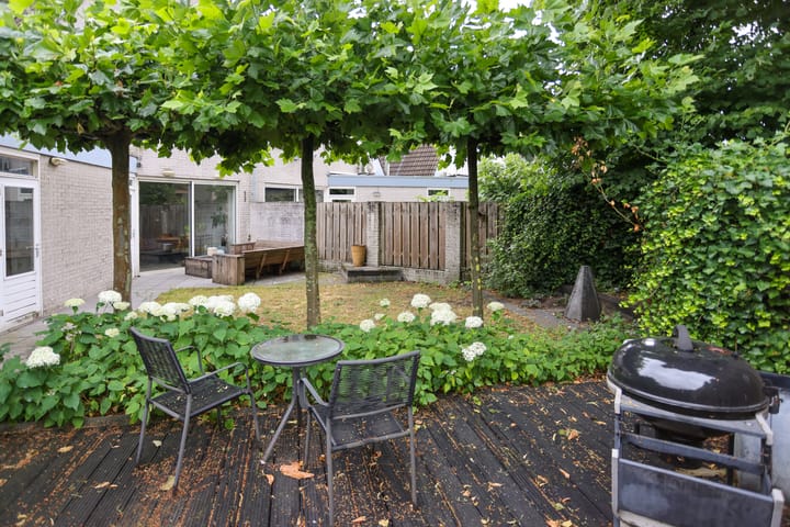 Foto 24 van Mr. Calspark 6