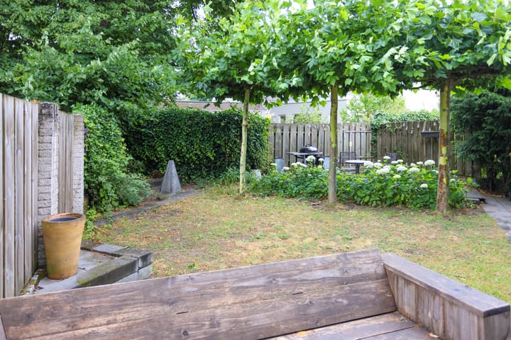 Foto 25 van Mr. Calspark 6