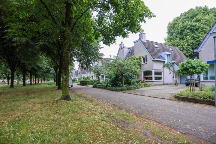 Foto 27 van Mr. Calspark 6