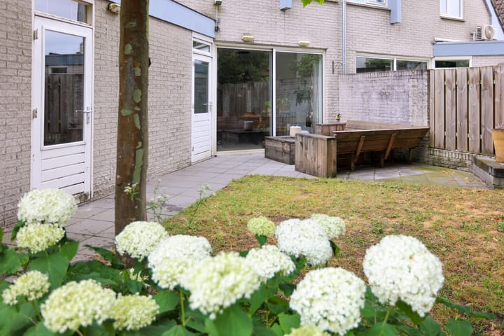 Foto 26 van Mr. Calspark 6