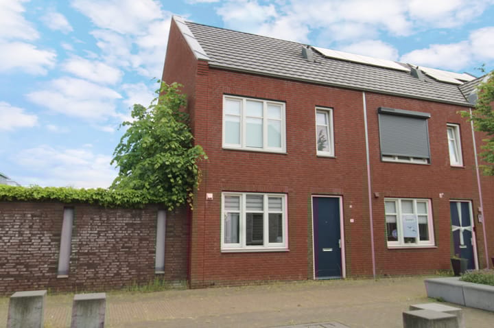 Foto 1 van Zilverschat 10