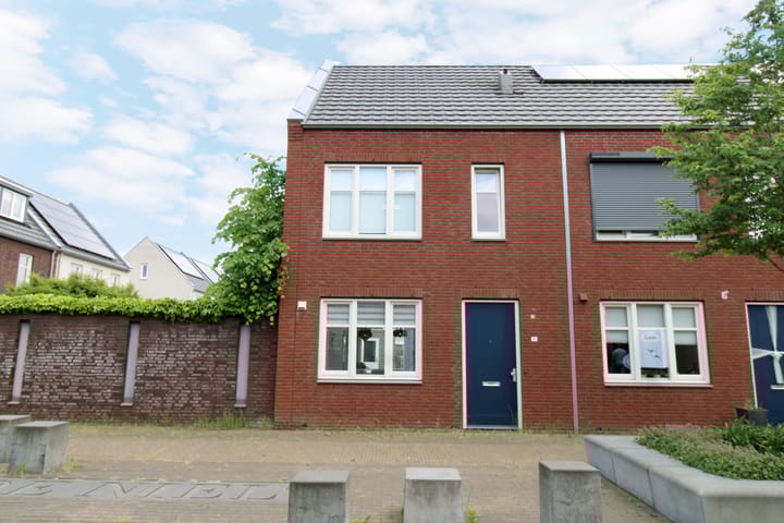 Foto 5 van Zilverschat 10