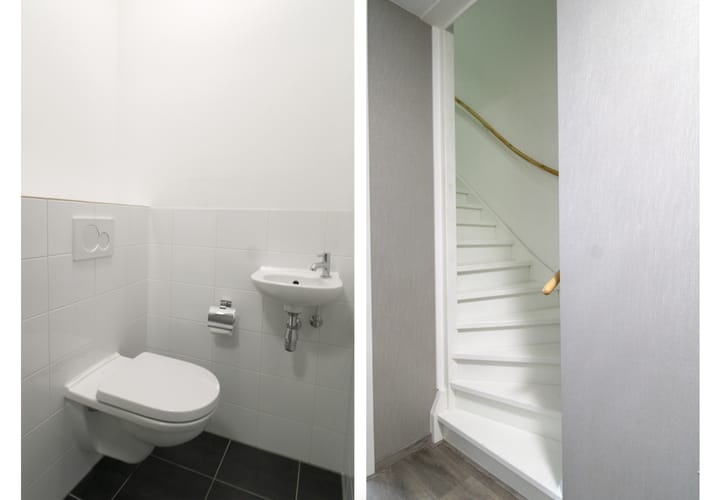 Foto 8 van Zilverschat 10