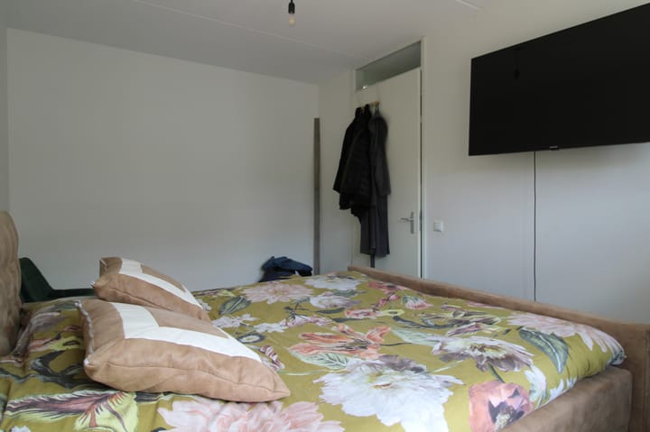 Foto 20 van Zilverschat 10