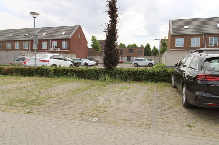 Foto 28 van Zilverschat 10