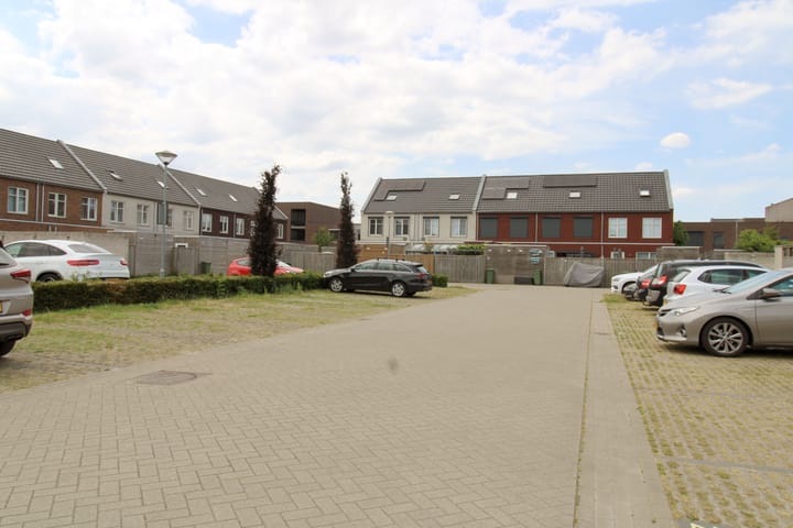 Foto 29 van Zilverschat 10