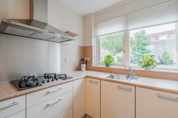 Foto 10 van Tuinfluiter 3