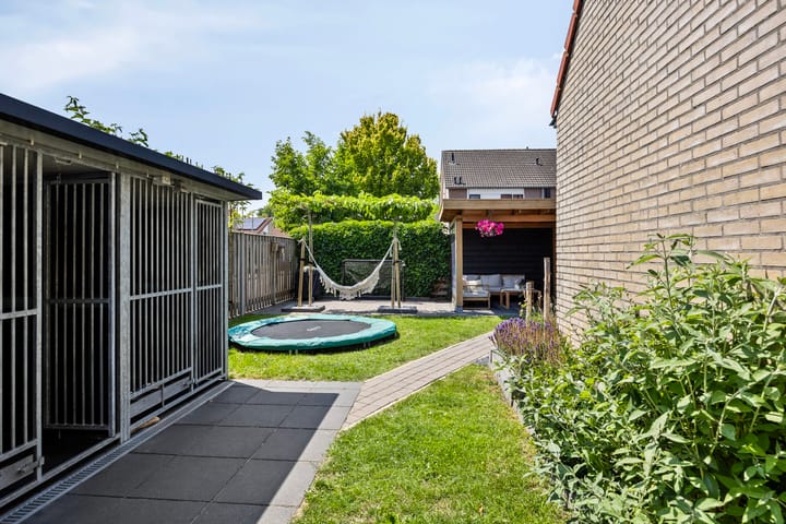 Foto 31 van Fonteinkruid 1