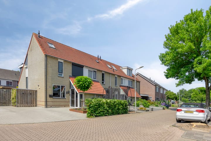 Foto 32 van Fonteinkruid 1