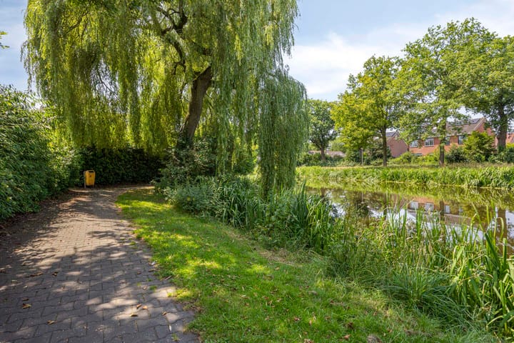 Foto 36 van Fonteinkruid 1