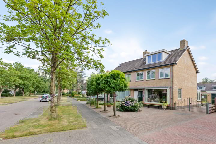 Foto 5 van Falkejacht 19