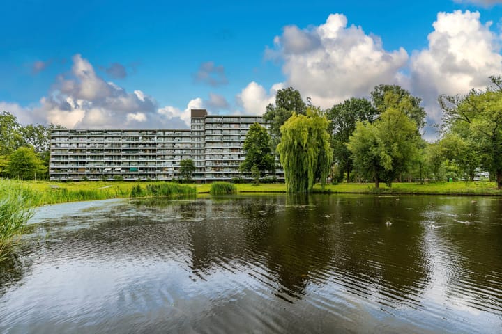 Foto 3 van Belvédèrebos 181