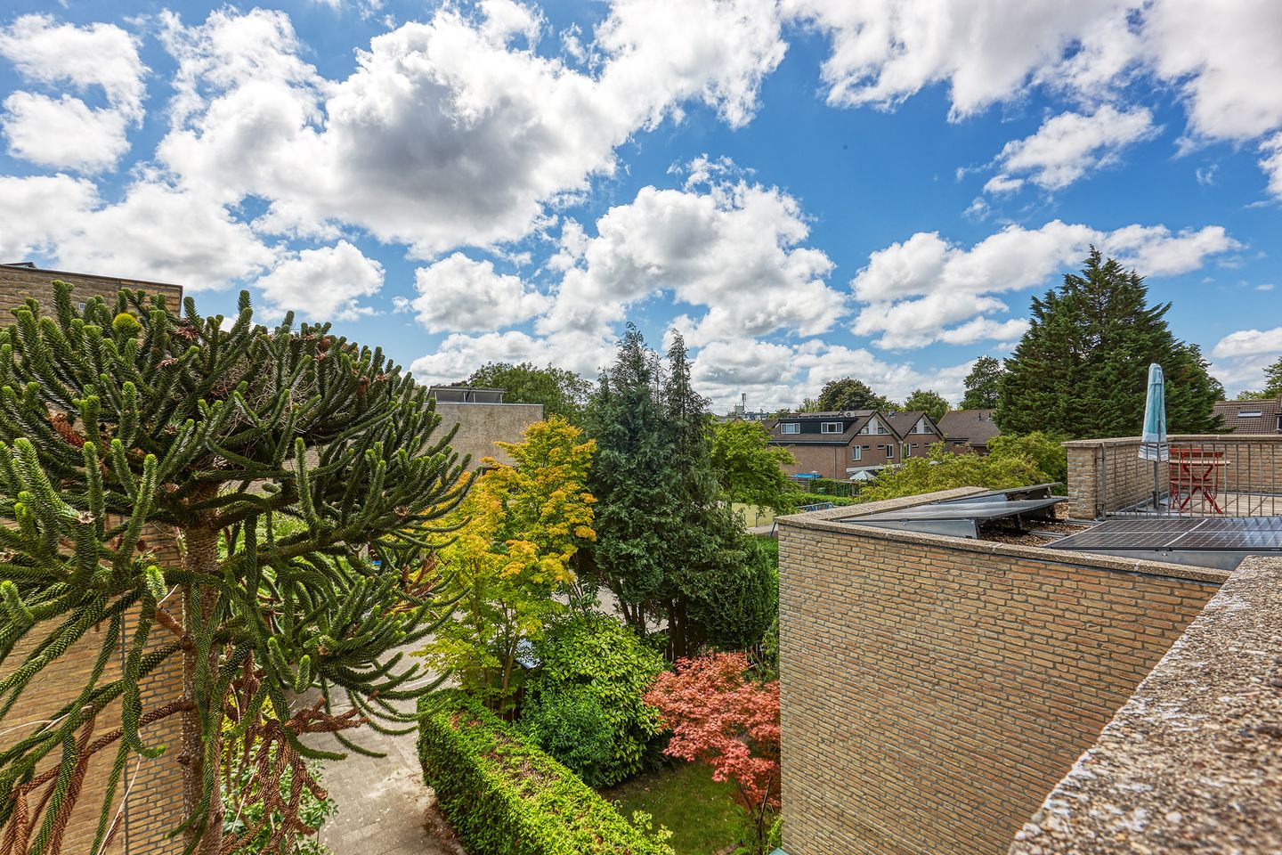 Foto 5 van Kruisbes 29