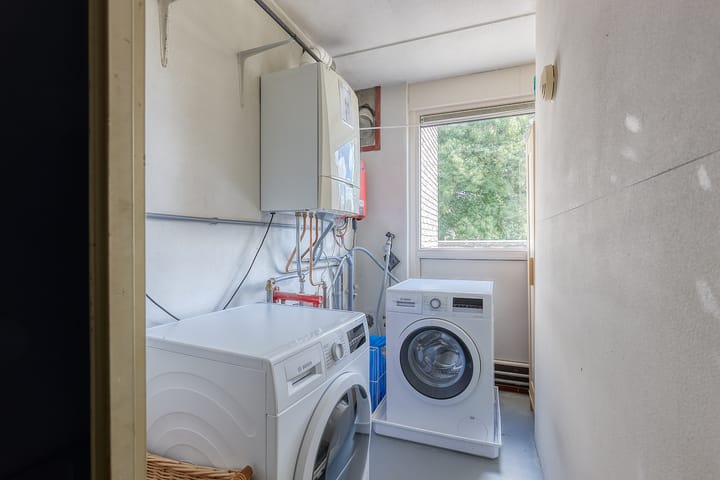 Foto 32 van Kruisbes 29