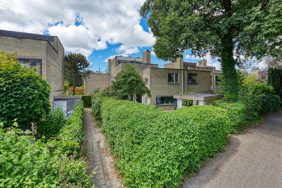 Foto 38 van Kruisbes 29