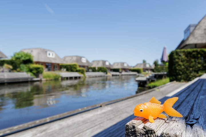 Photo 4 of De Bloemert 1-204