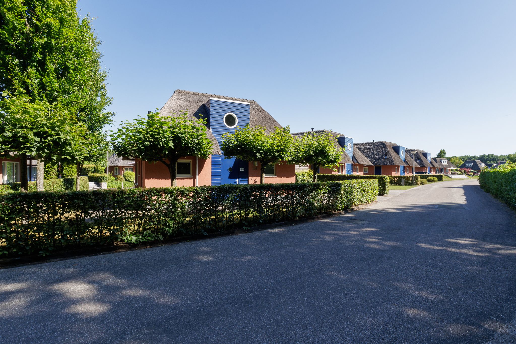 Photo 6 of De Bloemert 1-204