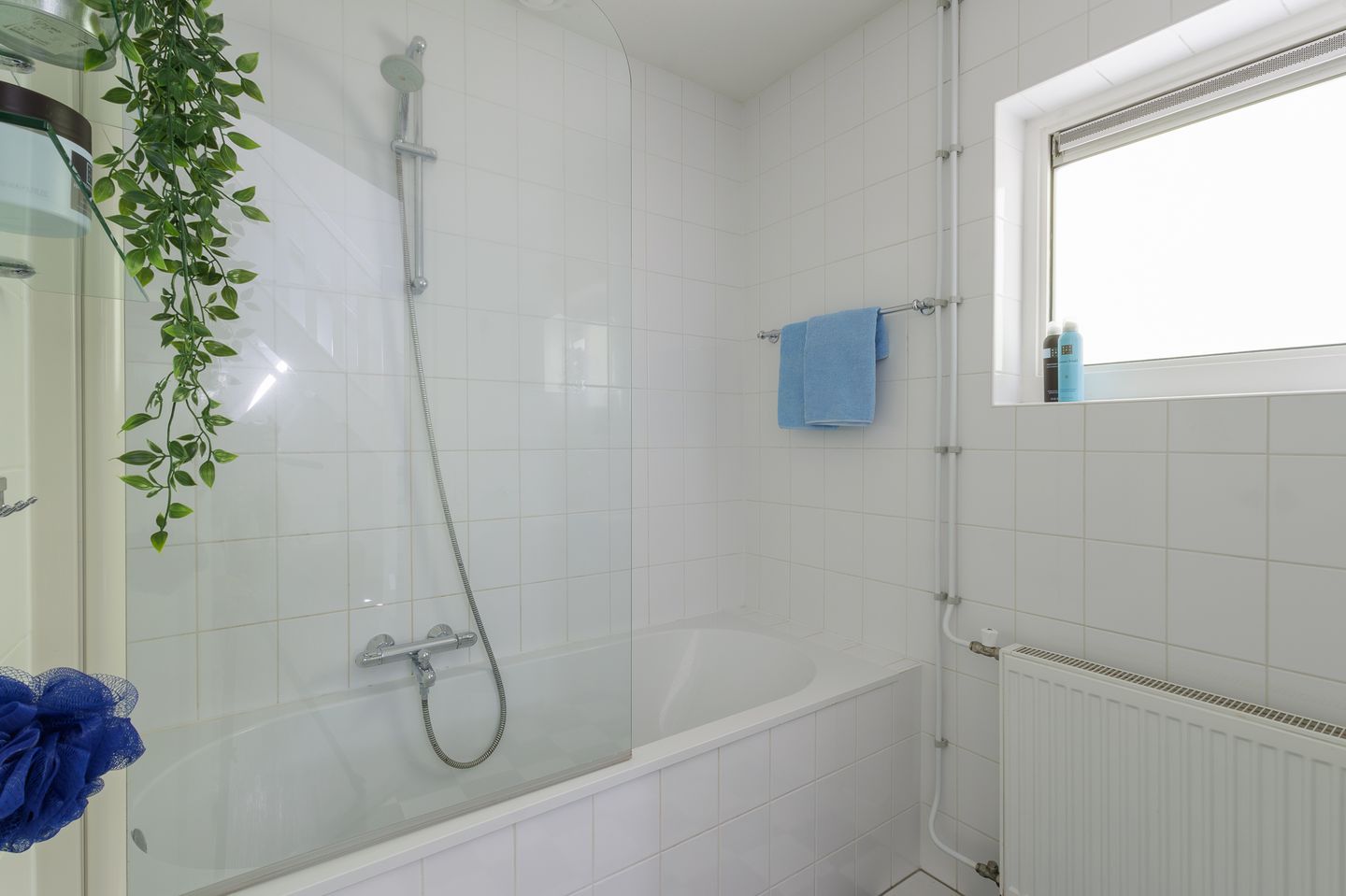 Photo 40 of De Bloemert 1-204