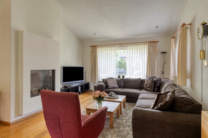 Foto 6 van Jonge Hagen 17