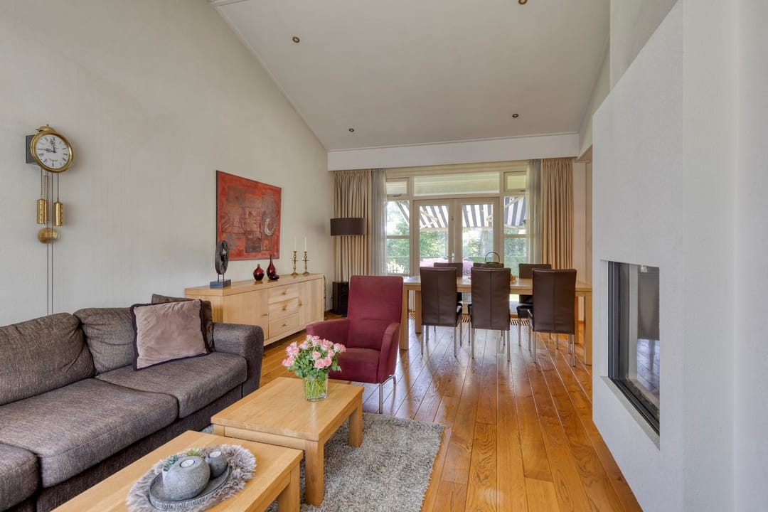 Foto 8 van Jonge Hagen 17