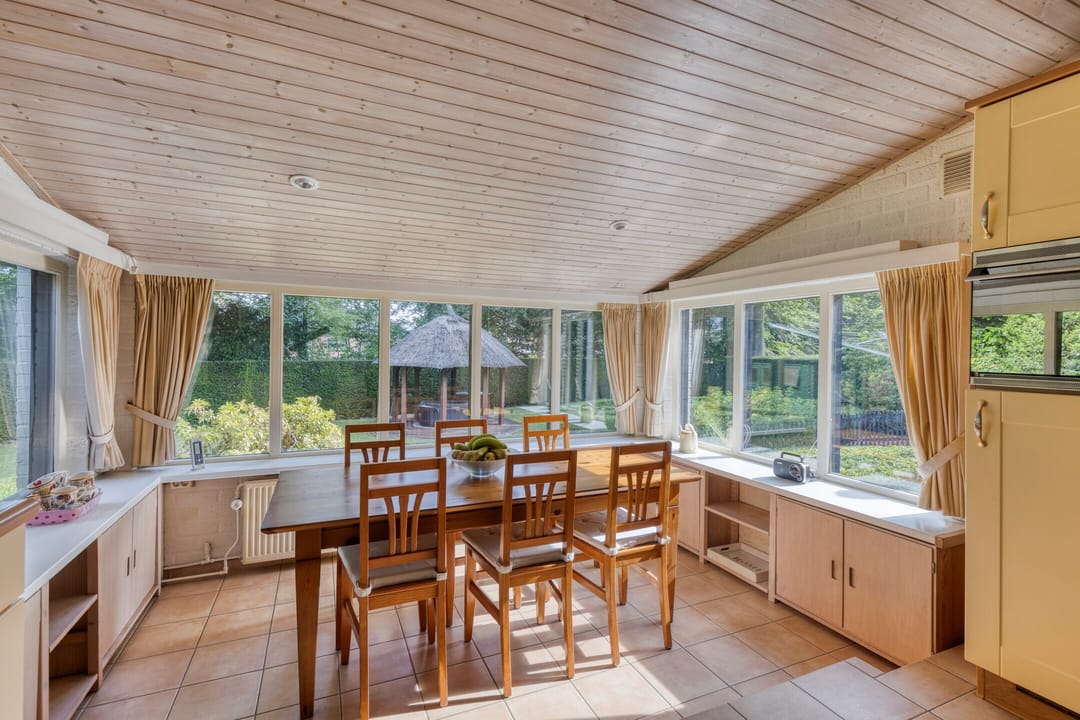 Foto 13 van Jonge Hagen 17