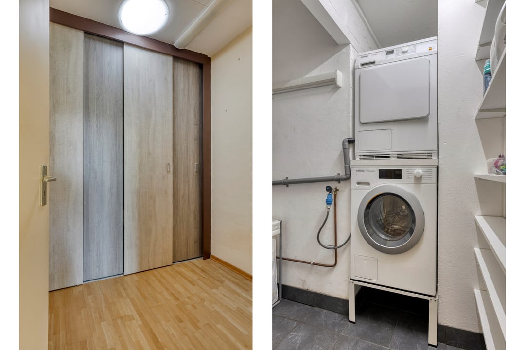 Foto 28 van Jonge Hagen 17