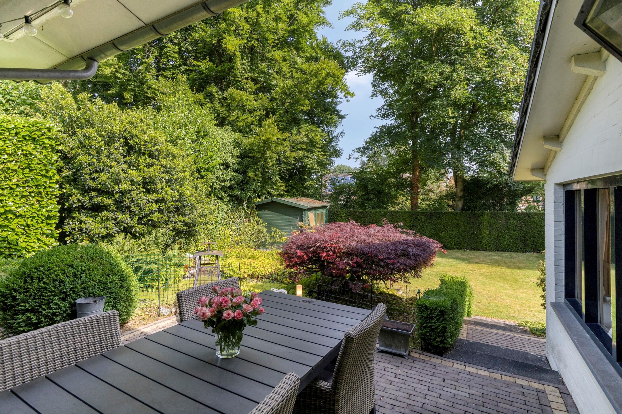 Foto 33 van Jonge Hagen 17