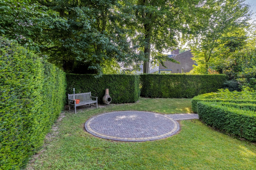 Foto 37 van Jonge Hagen 17