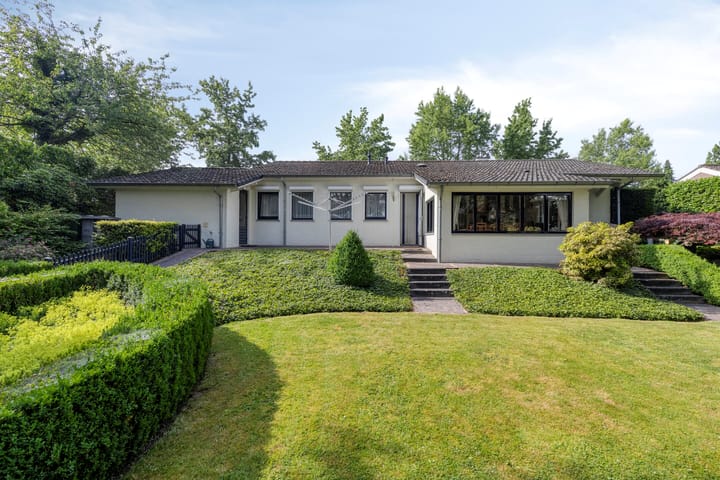 Foto 41 van Jonge Hagen 17