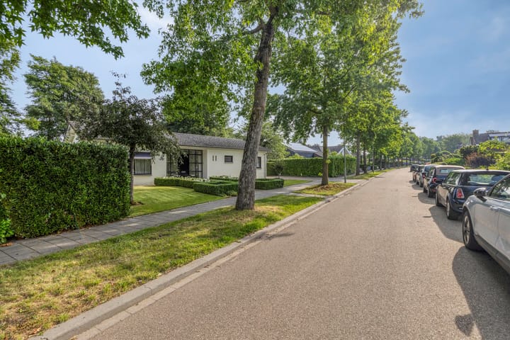 Foto 45 van Jonge Hagen 17