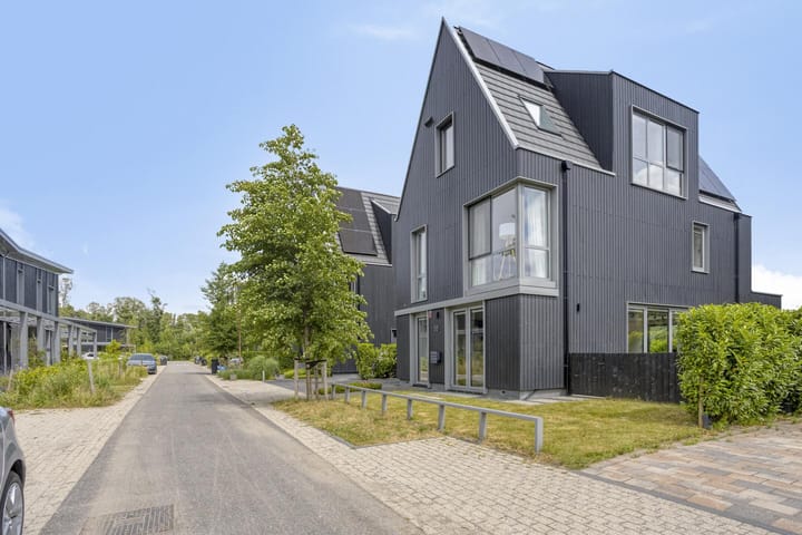 IJsvogel 55
