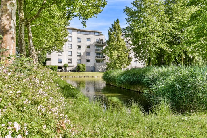 Foto 37 van Swammerdamstraat 13