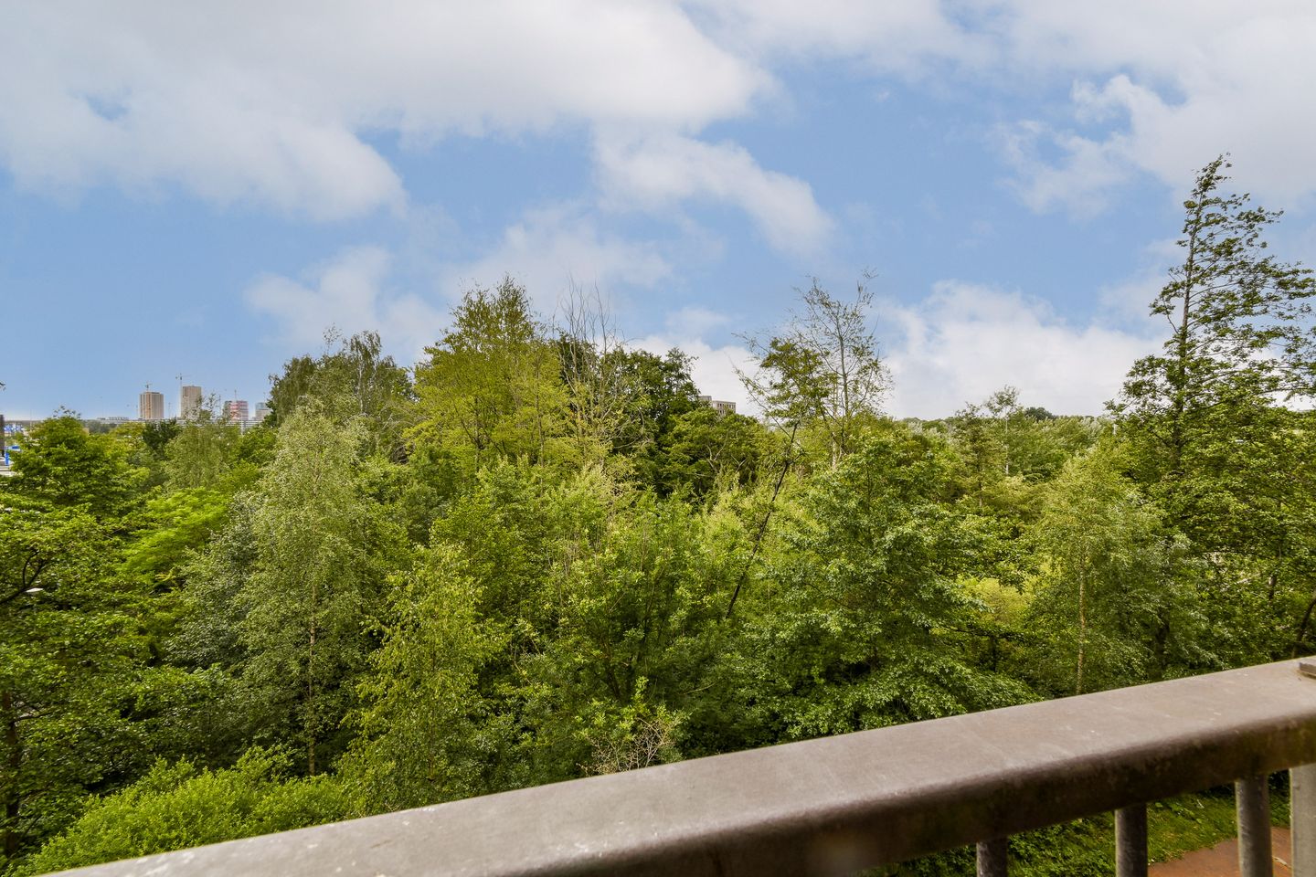 Foto 10 van Leerdamhof 105