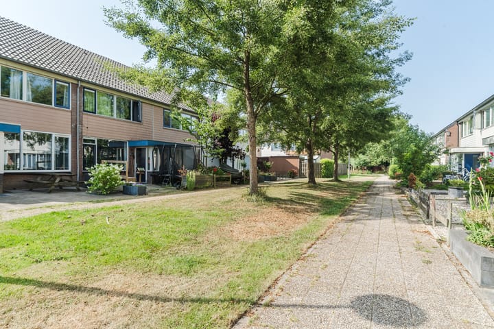 Foto 4 van Valeriaan 64