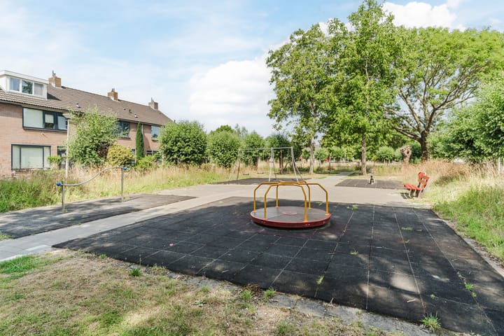 Foto 28 van Valeriaan 64