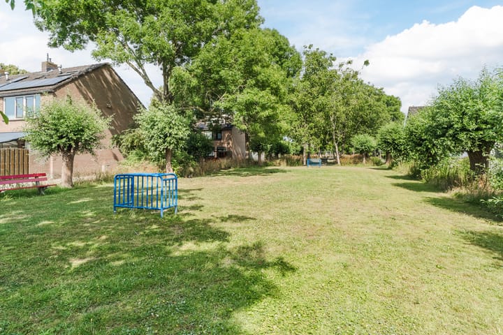 Foto 27 van Valeriaan 64