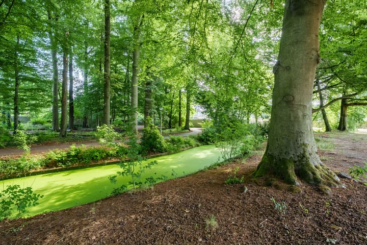 Foto 25 van Nijenheim 2252