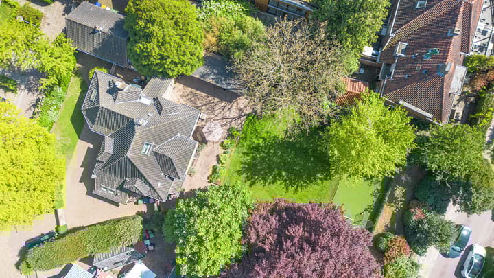 Photo 4 of Zevenend 81